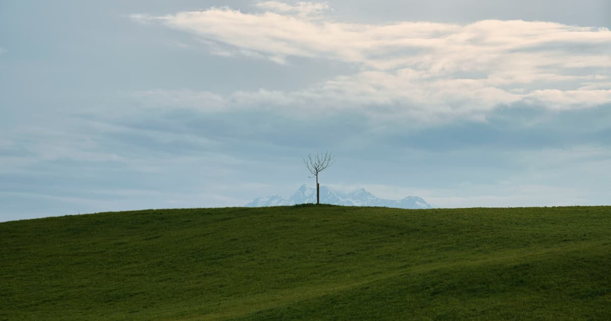 Virginia Dairy Groups Expand School Milk Dispenser Grants with $155,000 Initiative